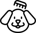 Penteados
